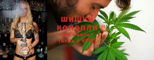 крисы Баксан