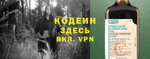 крисы Баксан
