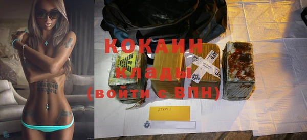 крисы Баксан