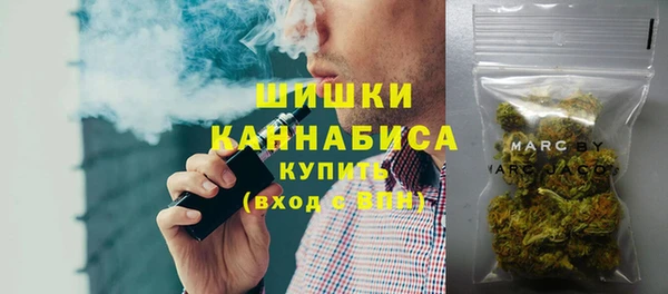 крисы Баксан