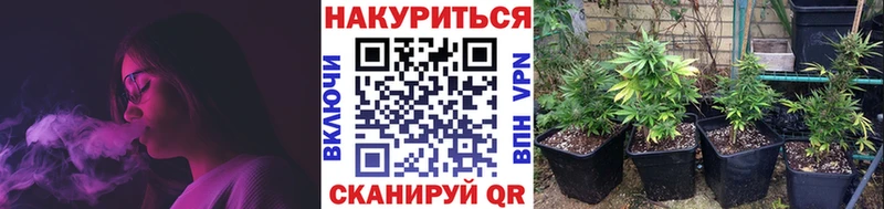 магазин    блэк спрут зеркало  Бошки марихуана VHQ  Давлеканово 